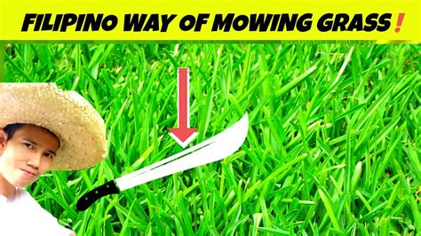 mewing in tagalog|Mowing in Tagalog.
